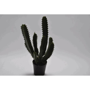 Umělá květina Silk-ka kaktus zelený 64cm