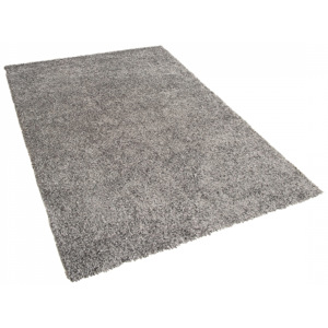 Šedý shaggy koberec 80x150 cm - ESME