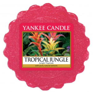 Yankee Candle - vonný vosk Tropical Jungle 22g (Sladké a chutný mix tropického ovoce, tropických květin a zelených palmových listů.)