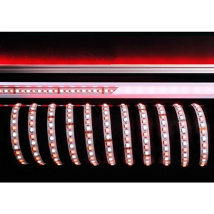 IMPR 840217 Flexibilní LED pásek 5050 96 24V RGB+6200K 5m - LIGHT IMPRESSIONS