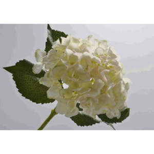 Umělá květina Silk-ka Hortenzie krémová jemný růžový střed 56cm