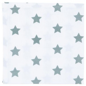 Textilní ubrousky Catch A Star 40*40 cm - sada 6 kusů 4025