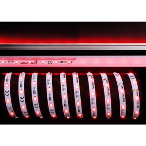 IMPR 840247 Flexibilní LED pásek 5050 30 24V RGB 10m - LIGHT IMPRESSIONS