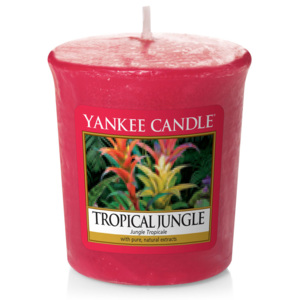 Yankee Candle – votivní svíčka Tropical Jungle 49 g