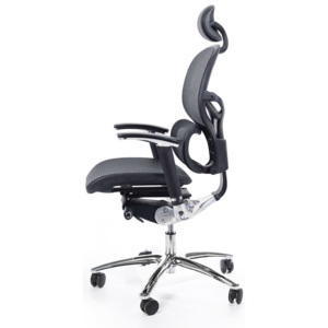 Kancelářská židle MULTISED Friemd BZJ 083 PDH s područkami nosnost 150 kg