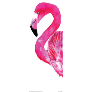 Plakát, Obraz - Sofie Rolfsdotter - Flamingo, (91,5 x 30 cm)