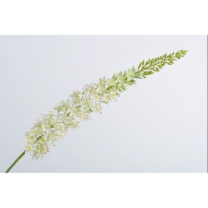 Umělá květina Silk-ka liliochvostec bílý 132cm