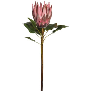 Umělá květina Sia Home Fashion Protea královská 60cm