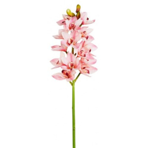 Umělá květina Sia Home Fashion Orchidej Cymbidium 99cm