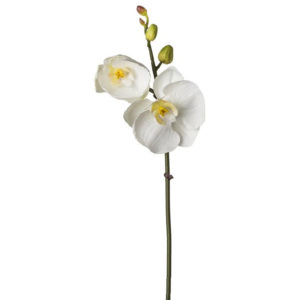 Umělá květina Sia Home Fashion Orchidej bílá 25cm