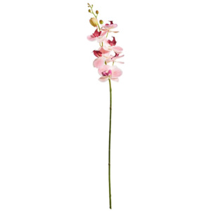 FLORISTA Větvička orchidej 70 cm - růžová