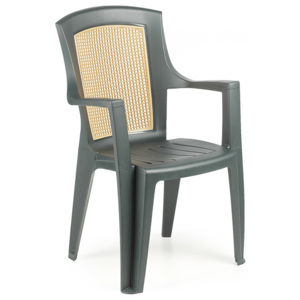 Plastová zahradní židle Viola Wood