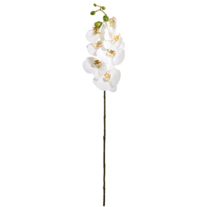 FLORISTA Větvička orchidej 70 cm - bílá