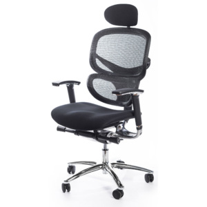 Kancelářská židle MULTISED Friemd BZJ 183 PDH s područkami nosnost 150 kg