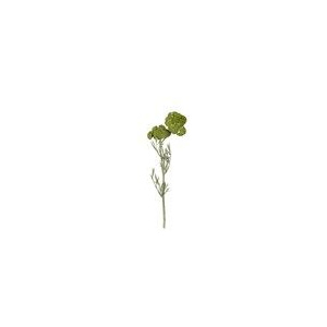 Umělá květina Asa Selection Řebříček zelený 52cm
