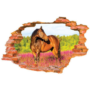 ZOOYOO Samolepka na zeď Kůň 3D 56 x 87 cm