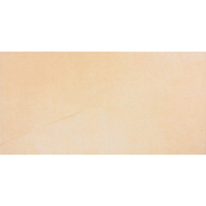 Rako Sandstone Plus dlažba 29,8x59,8 okrová