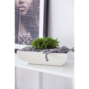 Květináč na bonsaje/dekorační miska AGLAIA 38, šířka 38 cm, pískovec, bílá