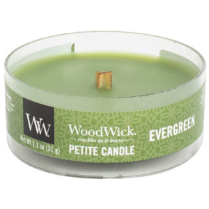 WoodWick – Petite Candle vonná svíčka Jehličí 31 g