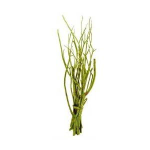 Umělá květina Asa Selection větev zelená 12ks/svazek 55cm