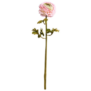FLORISTA Pryskyřník 48 cm - sv. růžová