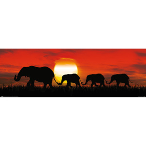 Plakát, Obraz - Sunset Elephants, (30 x 91,5 cm)
