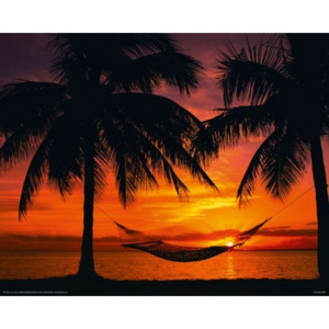 Plakát Sunset on the Beach