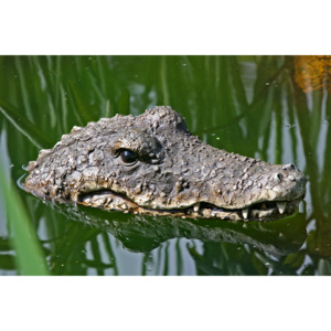 Vodní dekorace Krokodýl
