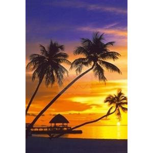 Plakát Beach Palm Sunset