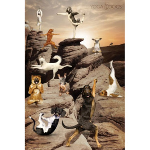 Plakát Yoga Dogs - Canyon