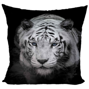 IMPAR Polštář Bílý tygr 40x40 cm