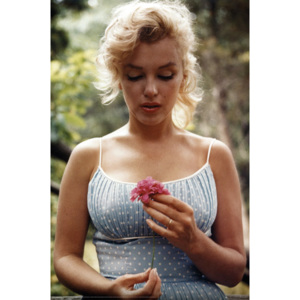 Plakát Marilyn Monroe Flower
