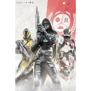 Plakát, Obraz - Destiny 2 - Characters, (61 x 91,5 cm)
