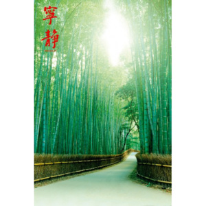 Plakát Quiet Bamboo Path