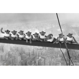 Plakát New York - Monkeys On Transom