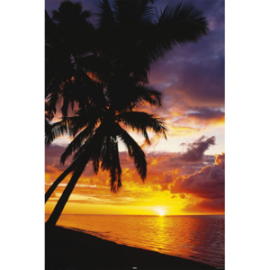 Plakát Sunset Palmtree