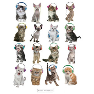 Plakát Keith Kimberlin - Cats in Headphones