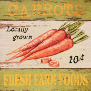 Falc Obraz na plátně - Farm carrots, 28x28 cm