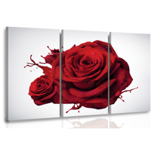 Vícedílný obraz - Růže (90x60 cm) - InSmile ®