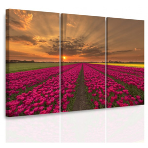 Vícedílný obraz - Záplava tulipánů (90x60 cm) - InSmile ®