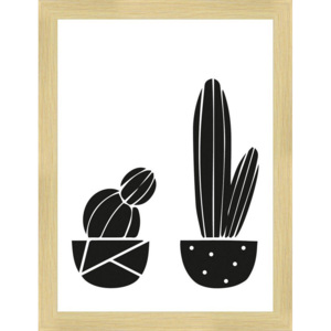 Rámovaný obraz - Kaktusy (černobílé)