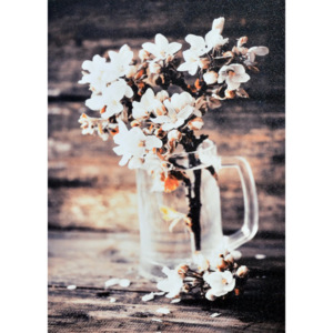 Falc Obraz na plátně - Květy ve sklenici, 50x70 cm