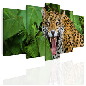 Vícedílný obraz - Jaguár (150x60 cm) - InSmile ®