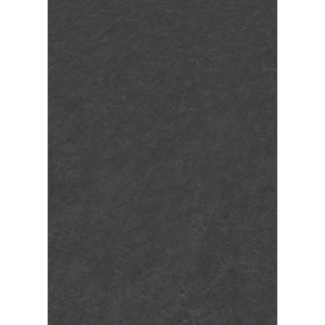 Přírodní linoleum MEISTER LID 300 S Puro (Břidlice Antracit 7306)