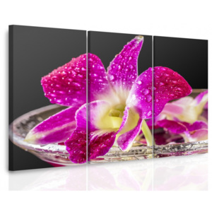 Vícedílný obraz - Fialová orchidej (90x60 cm) - InSmile ®
