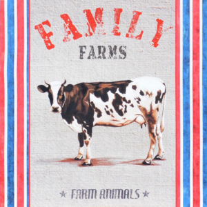 Obraz na plátně - Rodinná Farma, 40x40 cm