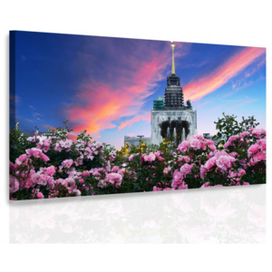 Obraz - Město růží (60x40 cm) - InSmile ®