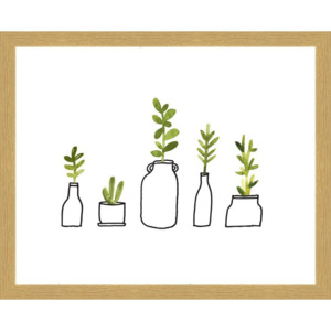 Rámovaný obraz - Rostliny a vázy