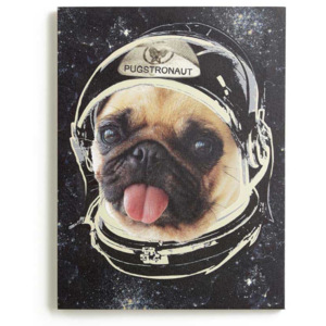 Arthouse Obraz na plátně - Space Pug