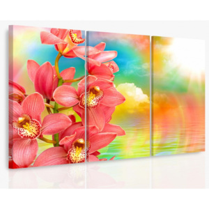 Vícedílný obraz - Orchidej a duha (90x60 cm) - InSmile ®